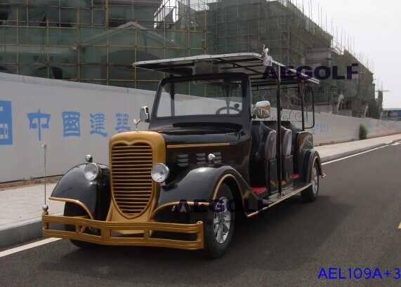 供應(yīng)湖南汽油觀光車長(zhǎng)沙燃油觀光車