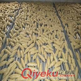 鑫瑞冠谷朊粉