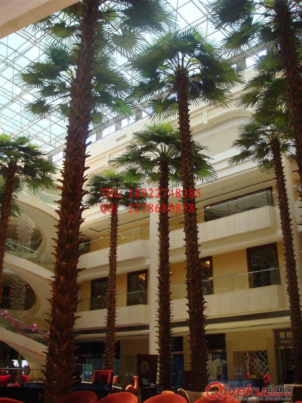 室外仿真棕櫚樹 圣緣景觀  gf真棕櫚樹 人造棕櫚樹仿真植物仿真樹原始圖片3
