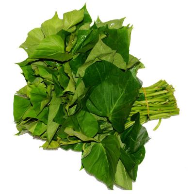 廣州新鮮蔬菜