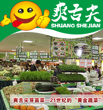 爽舌尖芽苗菜 “放心”芽苗菜備受青睞原始圖片2