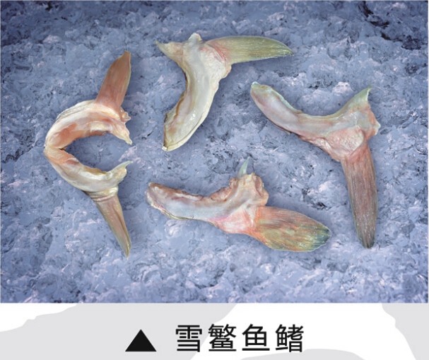 廣州番禺海產養(yǎng)殖場