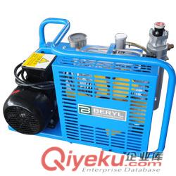 百瑞BV100CNG奧地利型汽車改裝高壓機