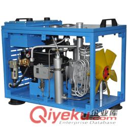 百瑞B(yǎng)X6CNG意大利型小型天然氣壓縮機(jī)