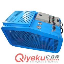 百瑞BW24CNG德國型天然氣高壓壓縮機