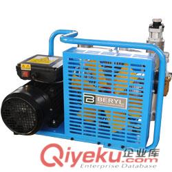 百瑞BV100CNG奧地利型汽車改裝高壓機