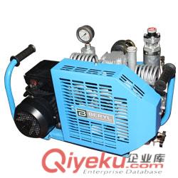 百瑞B(yǎng)W100德國型高壓空氣壓縮機(jī)