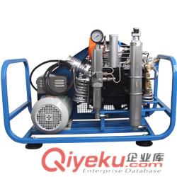 百瑞B(yǎng)W200德國型高壓空氣壓縮機二代機