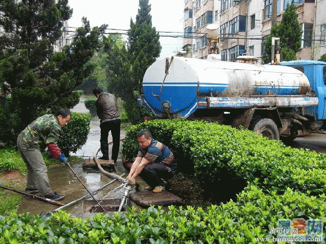 路通家政服務(wù)公司