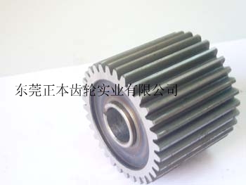 微型減速電機齒輪生產(chǎn)廠，正本齒輪