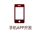 视频营销/手机APP开发营销方案