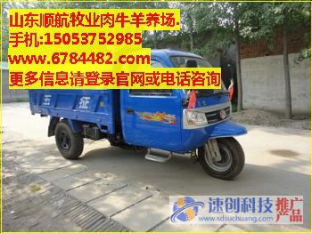 吸糞灑水車/改裝吸糞車/順航牧業(yè)(袁洪賓)