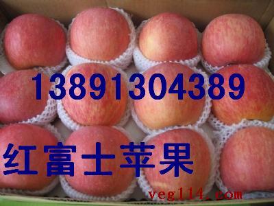 陜西哈密瓜價格陜西大棚哈密瓜產(chǎn)地哈密瓜基地哈密瓜批發(fā)哈密瓜行情哈密瓜代辦