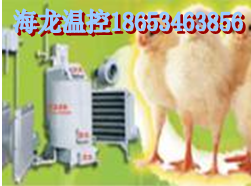 雛雞取暖鍋爐|質(zhì)量|價格|廠家|品牌|生產(chǎn)商-海龍溫控
