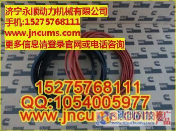 日工純正康明斯配件_安邁純正康明斯配件_濟寧永順動力