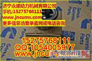 上海金泰純正康明斯配件_土力機械純正康明斯配件_濟寧永順動力