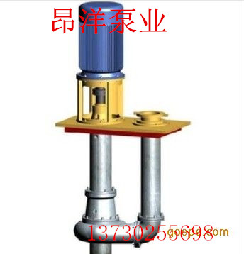 立式污水泵廠家