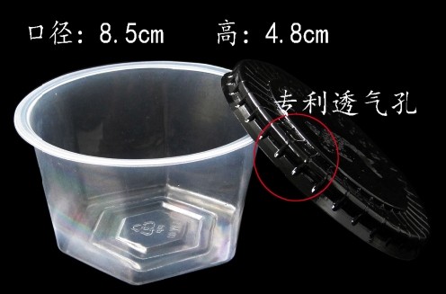 塑料蚯蚓盒批發(fā) 垂釣用品蚯蚓盒批發(fā)