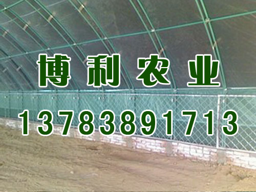 安陽大棚/安陽博利農(nóng)業(yè)科技