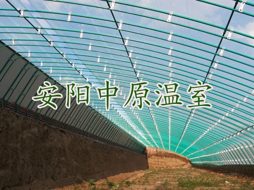 安陽溫室大棚/安陽市中原溫室