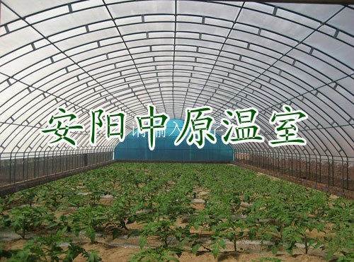 蔬菜大棚骨架批发/安阳市中原温室