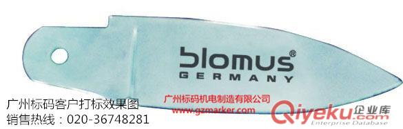 湛江標(biāo)牌鋁合金打徽標(biāo)無深度電印機原始圖片3