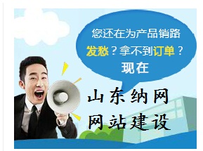 山東納網 企業網站建設