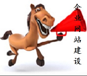 山東納網 企業網站建設原始圖片2