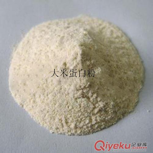 山東大明供應出口級大米蛋白粉