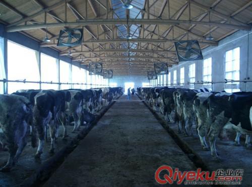 【廠家直銷】管道式擠奶機配件，農機配件