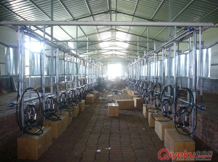 【廠家直銷】大中型牧場專用奶廳，魚骨式形狀分流式計量奶廳