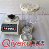 多功能水果蔬菜榨汁 豐富牌榨汁機(jī)原始圖片2