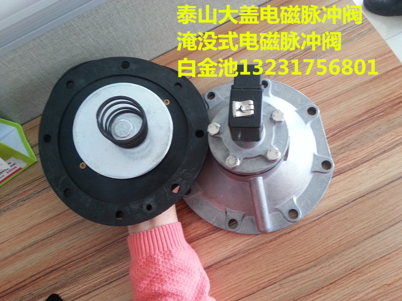 DSF-80泰山大蓋電磁閥型號齊全廠家原始圖片2