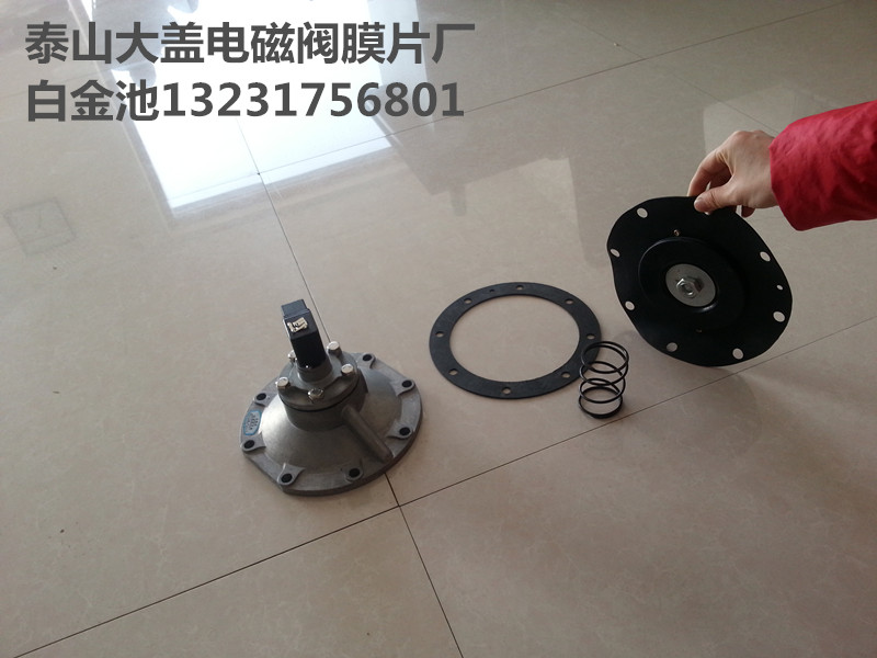 DSF-80泰山大蓋電磁閥型號齊全廠家原始圖片3