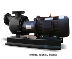 ZS系列自吸泵