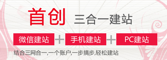 三网合一建站/东莞东烽网络