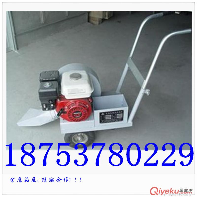 供應(yīng)汽油路面吹風(fēng)機 手推式路面吹風(fēng)機  工業(yè)吹風(fēng)機