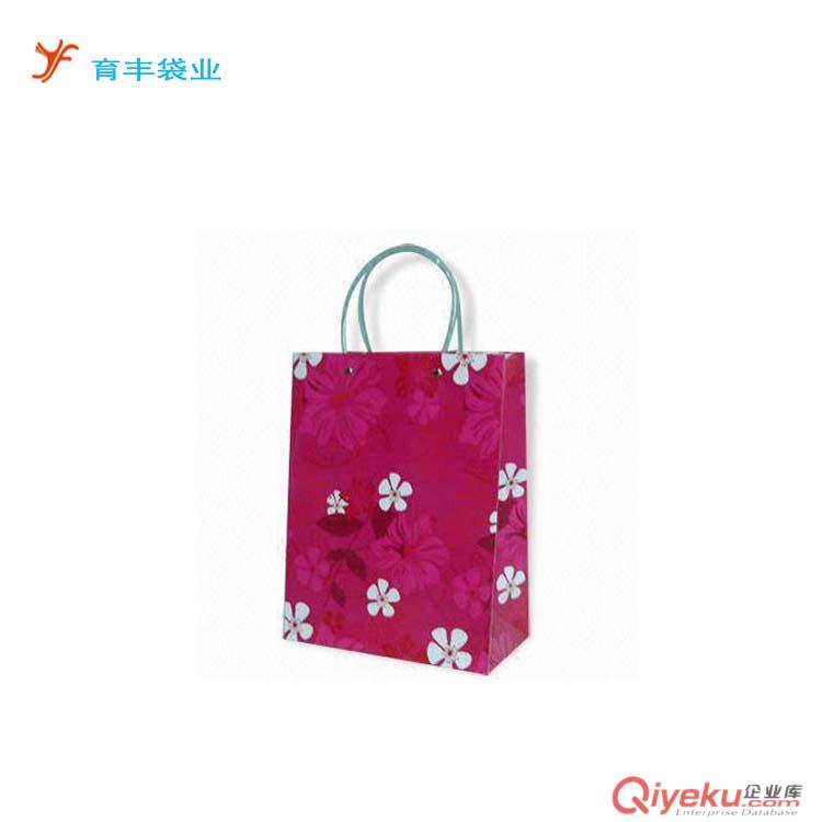 供應(yīng)PP禮品袋 手提廣告禮品袋 展會促銷PP禮品袋原始圖片3