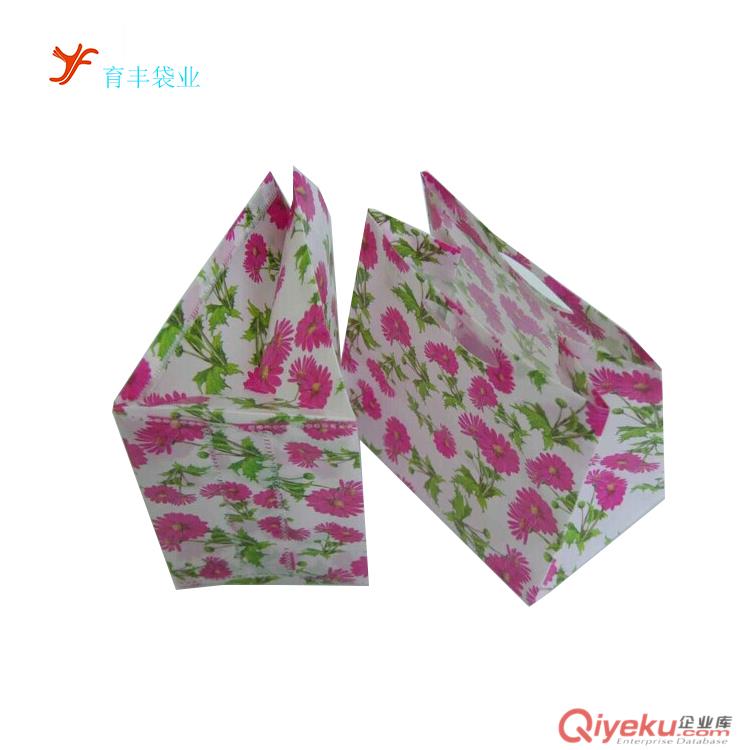 供應(yīng)手提彩印PP禮品袋 磨砂購(gòu)物禮品袋 可按要求印刷LOGO原始圖片3