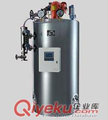 電加熱蒸汽熱水鍋爐廠