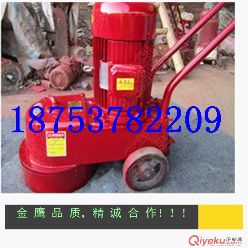 供應(yīng)翼航250型水磨石機(jī)， 家用220V水磨石機(jī)原始圖片3