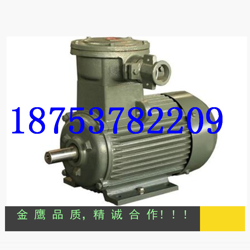 供應(yīng)翼航Y(jié)132M-2三相異步電動(dòng)機(jī) 原始圖片2