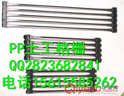 寧泰聚丙烯單向拉伸塑料格柵TGDG110PP