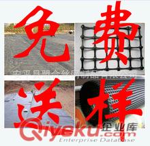 寧泰鋼塑復(fù)合土工格柵GSZ100-100