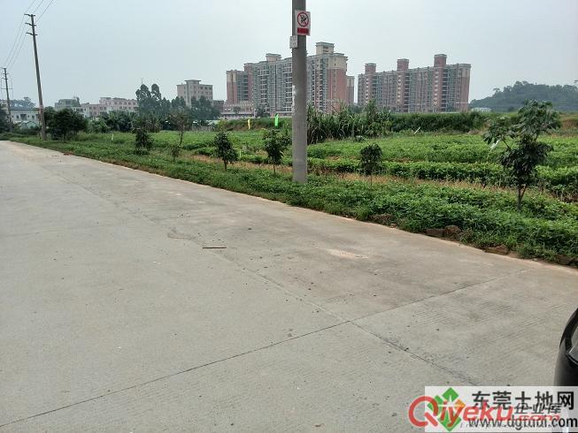 東莞常平工業用地40畝，50畝，60畝出售