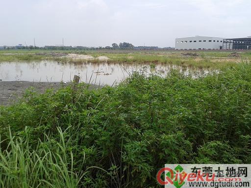 東莞市望牛墩鎮工業用地42畝轉讓，國土證
