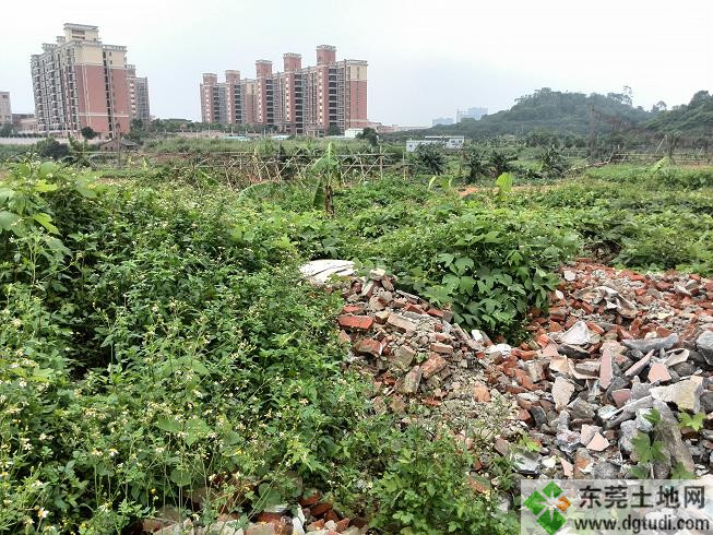 東莞松山湖別墅地轉讓，別墅用地80畝