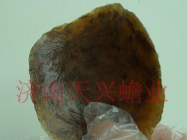 供應(yīng)天興蟾酥片以及蟾酥是什么說明