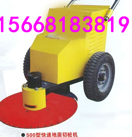 環(huán)氧地平打磨機(jī)原始圖片3