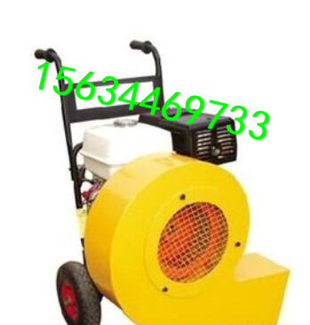 背負式吹風機  廠家直銷原始圖片2